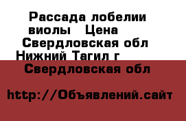 Рассада лобелии, виолы › Цена ­ 40 - Свердловская обл., Нижний Тагил г.  »    . Свердловская обл.